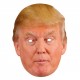 Masque carton Donald Trump