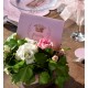 Carte Princesse rose les 6 Cartes Invitation ou Menu