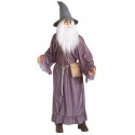 Déguisement Gandalf Seigneur des Anneaux™ adulte