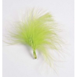 Plumes de couleur Vert Anis les 20