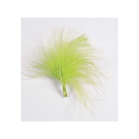 Plumes de couleur Vert Anis