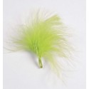 Plumes de couleur Vert Anis les 20