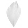 Plumes blanches 6 cm les 100