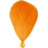 Plumes oranges avec perle 8 cm les 6