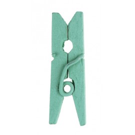 Mini pince en bois menthe les 24