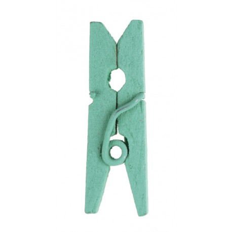 Mini pince en bois menthe les 24