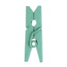 Mini pinces en bois menthe les 24