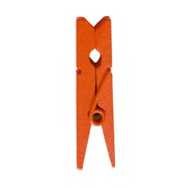 Mini pince en bois orange les 24