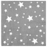 Serviettes de table argent étoiles blanches papier les 10
