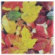 Serviette de table automne papier les 20