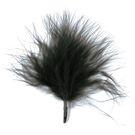 Plumes noires les 20 plumes déco