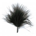 Plumes de Couleur Noire les 20