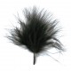 Plume noire 7 cm les 20