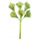 Mini arums vert anis en tissu sur tige les 24