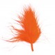 Plume orange 7 cm les 20