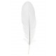 Plume blanche décorative 16 cm les 6