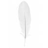 Plume blanche décorative 16 cm les 6