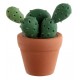Marque-place cactus mexicain