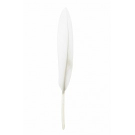 Plume blanche droite décorative 10 cm les 6 Plume blanche droite décorative 10 cm les 6