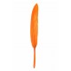 Plume droite orange décorative 10 cm les 6