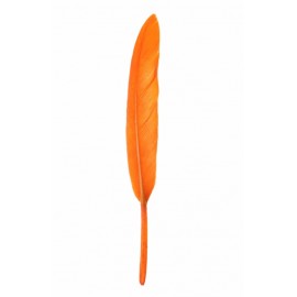 Plume droite orange décorative 10 cm les 6