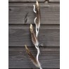Plumes naturelles zébrées or 20 cm les 6