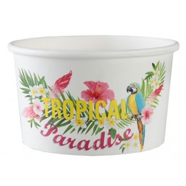 Ramequins Tropical Paradise carton les 10