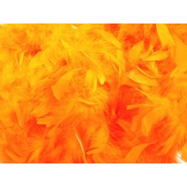 Boa Orange en Plumes 2 Mètres