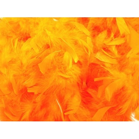 Boa Orange en Plumes