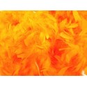 Boa Orange en Plumes