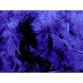 Boa Violet en Plumes 2 Mètres