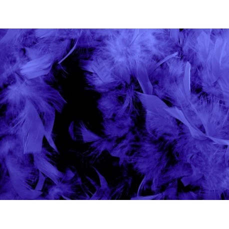 Boa Violet en Plumes