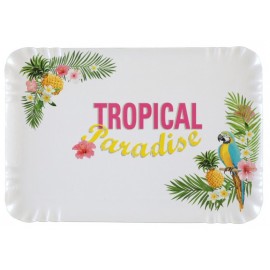 Plateaux Tropical Paradise carton les 5