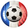 Assiettes carton Champion du monde Foot 22.5 cm les 10