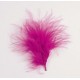 Plumes fuchsia les 20