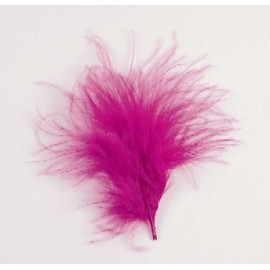 Plumes de couleur Fuschia