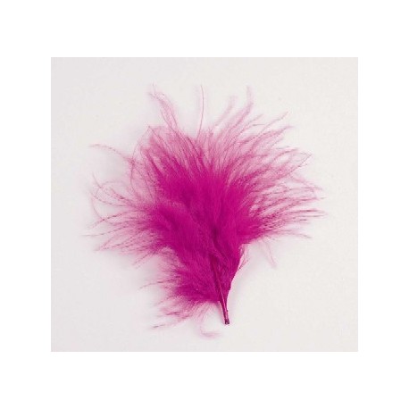 Plumes de couleur Fuschia