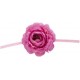 Rose Fuschia Sur Ruban Les 4