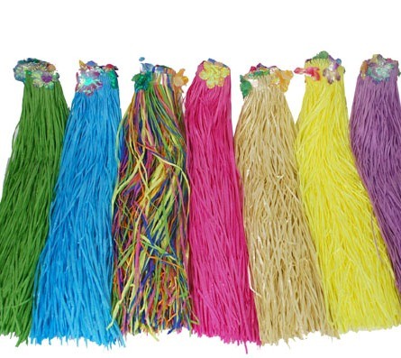 D?�guisement Hawai Jupe raphia multicolore longue adulte