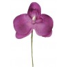 Orchidée prune sur tige les 6