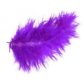 Plumes de Couleur Prune Les 20