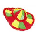 Chapeau multicolore adulte