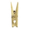Pinces Laquées Or, Argent 2.5 cm Les 24