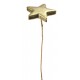 Etoiles Brillantes Couleur Sur Tige 20 cm Les 2