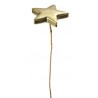 Etoiles Brillantes Couleur Sur Tige 20 cm Les 2