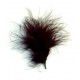 Plumes de Couleur Chocolat les 20