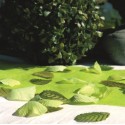 Pétales vert anis avec feuilles en tissu les 100