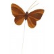 Papillon chocolat en plume sur tige