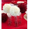Eprouvettes en Verre Transparent 10 cm les 48