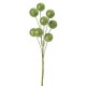 Piquet boule pailletee vert
